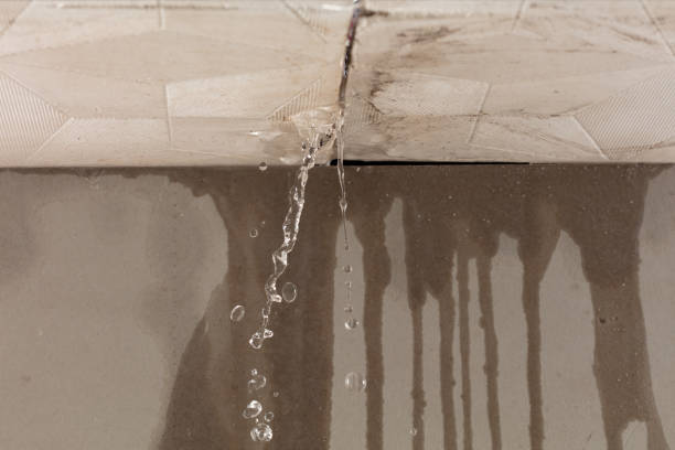 Professional Structural Drying technician working in Dublin, VA